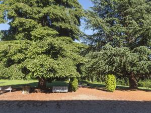 Maisons de vacances Gorgeous manor in the Auvergne with private pool : photos des chambres