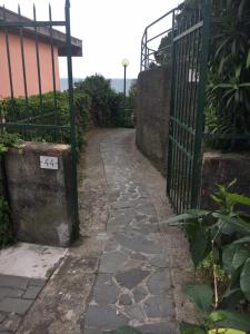 CinqueTerreBlu BougainvilleaP