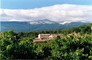 Maisons d'hotes AU PIED DU VENTOUX : photos des chambres