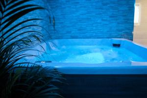 Nuit vip spa sauna privatif