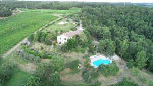 Le Triangle d'Or photo 6