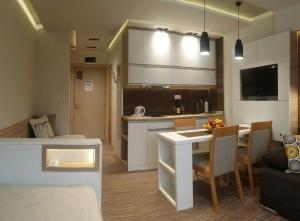 Apartment Dream Konaci