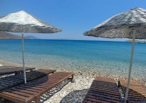 Palmaris Apart Palamutbuku