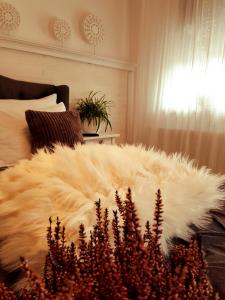 Apartamenty Ceglana 1 A