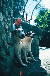 Agriturismo La Pergola