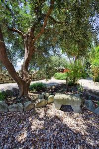 Agriturismo La Pergola