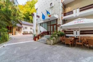 Former Ceausescu's Vila Crizantema - 伯伊莱戈沃拉