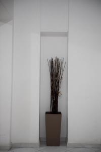 Violet #colony_White_Tower