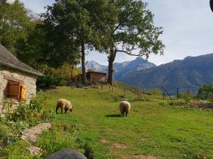 Lodges La Bergerie de Louvie : photos des chambres