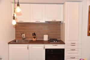 Apartamentul Ursilor