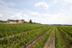 Alloggio Agrituristico CORTE SAN BIAGIO