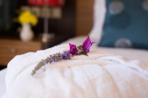 Sunrise Resort Hotel Lesvos Greece