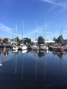 Ferienhaus Ferienhaus Möwengrund am Yachthafen Greifswald Deutschland