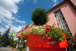 Hotels Hotel Restaurant Logis La Palette : photos des chambres