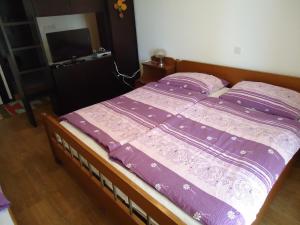 Studio Apartment Carli