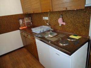 Studio Apartment Carli