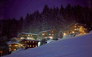 Ferienhäuser Reither Almen