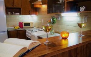 Comfort Apartment 22