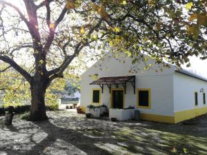 Montejunto Villas - Casa do Plátano
