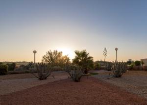 Hotels Hotel Les Dunes : photos des chambres