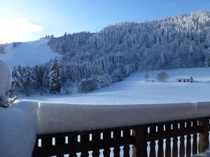 Chalets La Bresse Hautes Vosges Chalet 