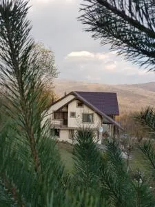 Casa 4 Anotimpuri - Vipereşti