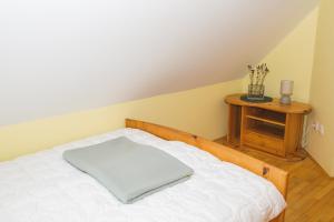 Apartma Smučka pod Roglo