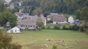 Maisons de vacances Les coquelicots : Maison de Vacances