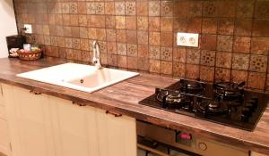 Central Apartment DumDix Brasov