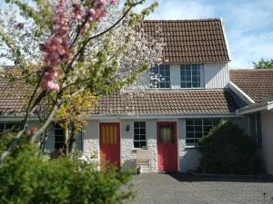 轮渡汽车旅馆 -  Lyttelton