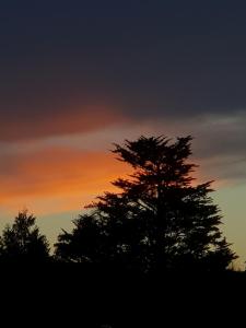 The Coach House Douglas