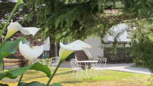 Villages vacances Arc en Ciel Oleron : photos des chambres