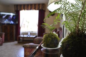 Santa Elena de Maipo Home