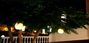 Apartamento Adeje II