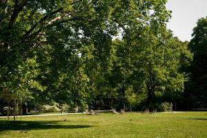 Apartment next to the Old Town & Krasinski garden