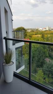 Apartament Mokotow nad Skarpa