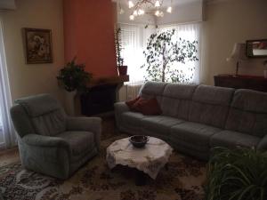 BEL APPARTEMENT LUMINEUX