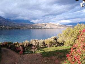 Aphrodite's Coast Retreat House! Parnassos Greece