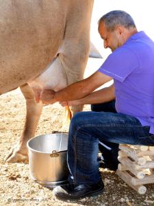 Country House S'Ozzastru img34