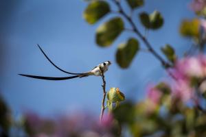 Breede River Houseboat Hire