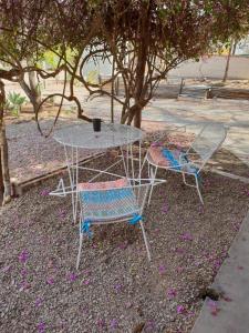 Oasis Shanti Backpackers