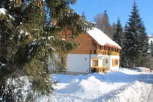 Arnica Montana - Bubesti 