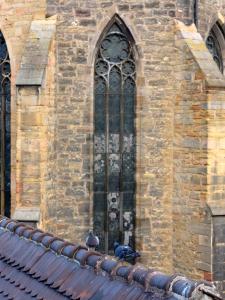 Appartements Les Suites Du Cygne : photos des chambres