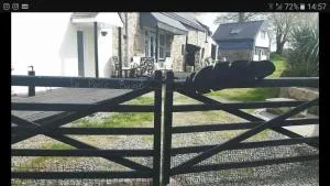 le petit secret - Bubry