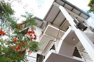 El Mirador - Tarapoto