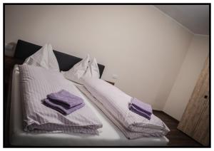 Apartament Felix Therm