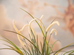 Résidence Villa Smeralda img64