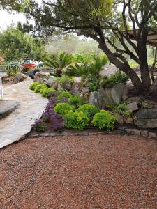 VILLA MILVIO con accesso privato in spiaggia img33