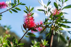 Résidence Villa Smeralda img43