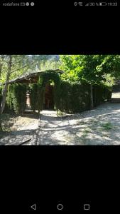 Cabañas rurales la vega